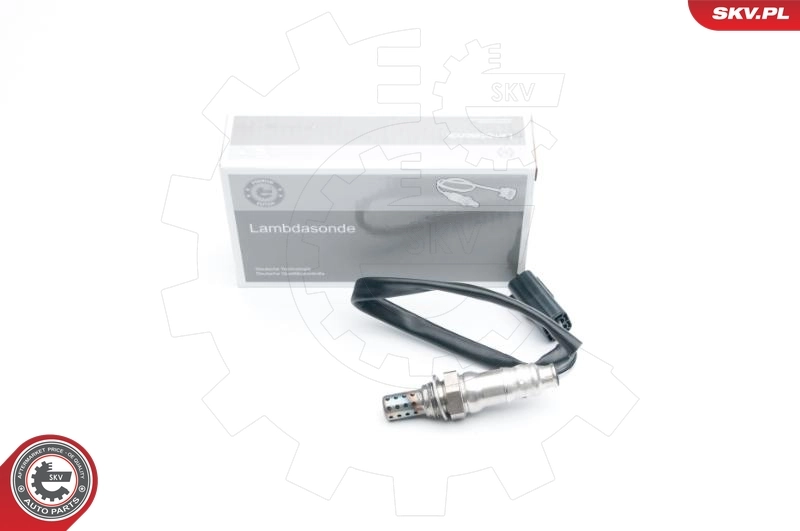 Oxygen Sensor